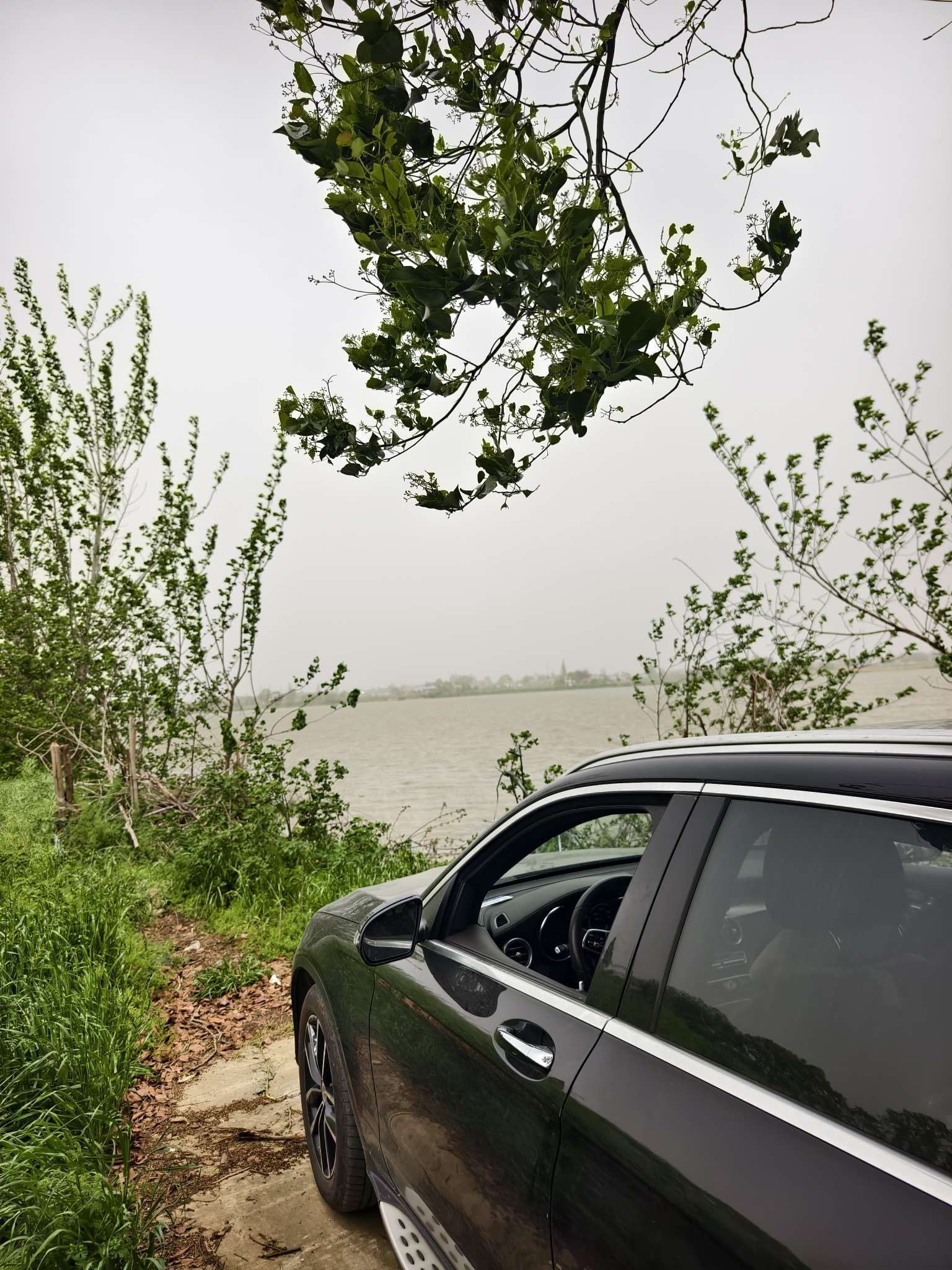 找旅游聊天搭子