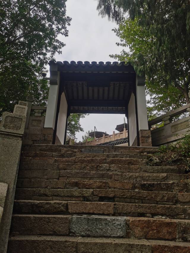 找旅行搭子