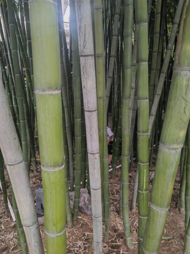 找运动搭子