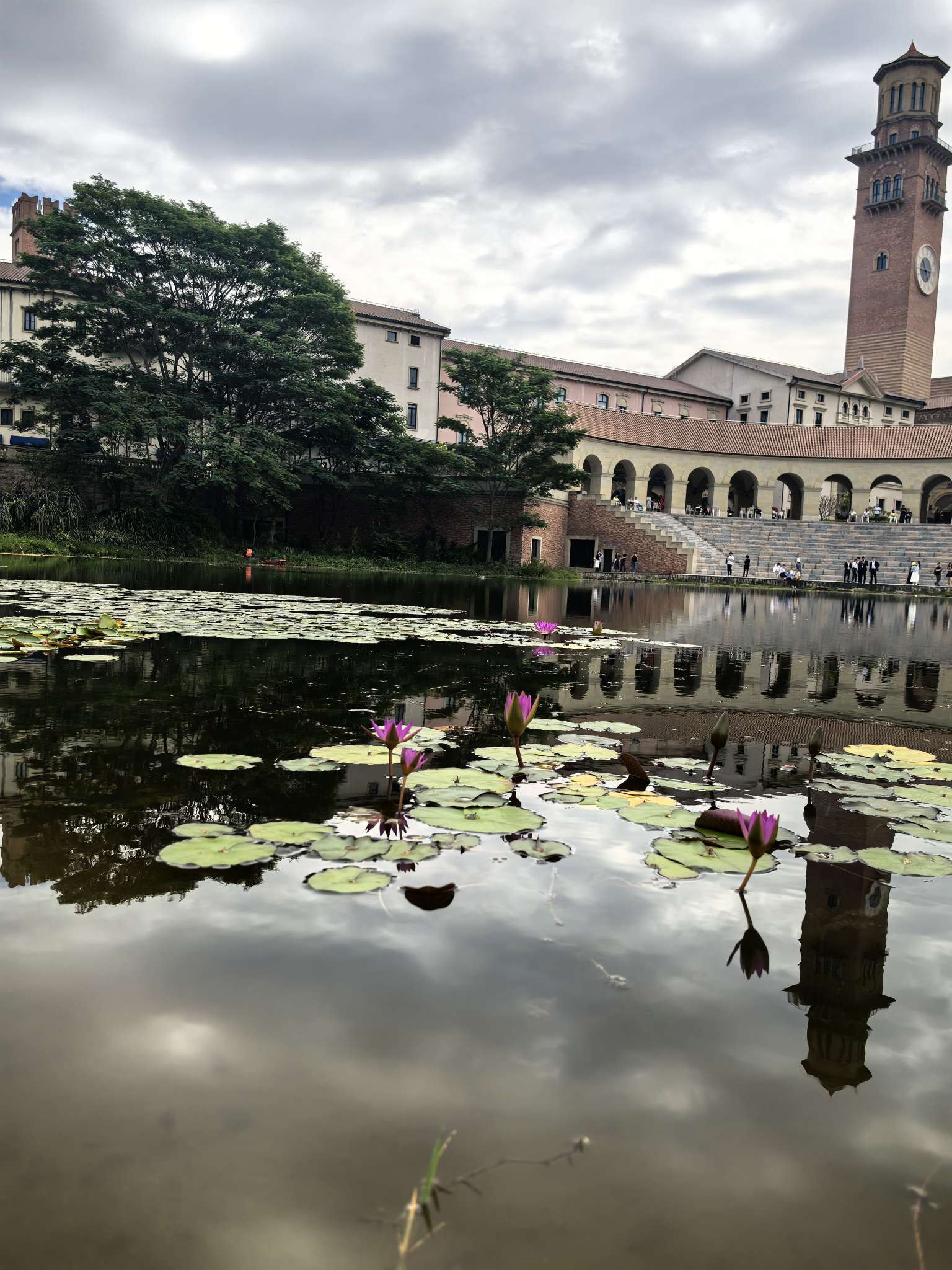 找旅游搭子