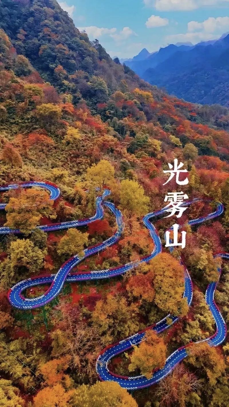 找旅游搭子