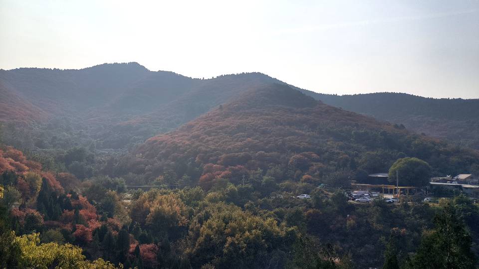 找运动搭子
