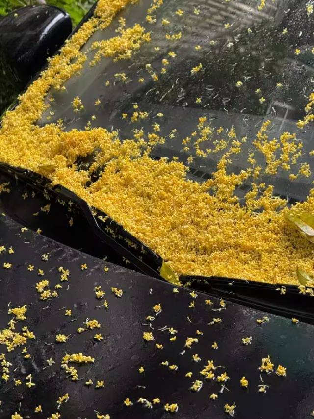 找聊天搭子