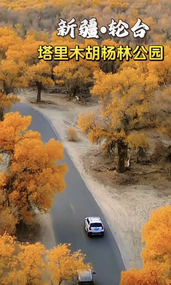 找旅游搭子