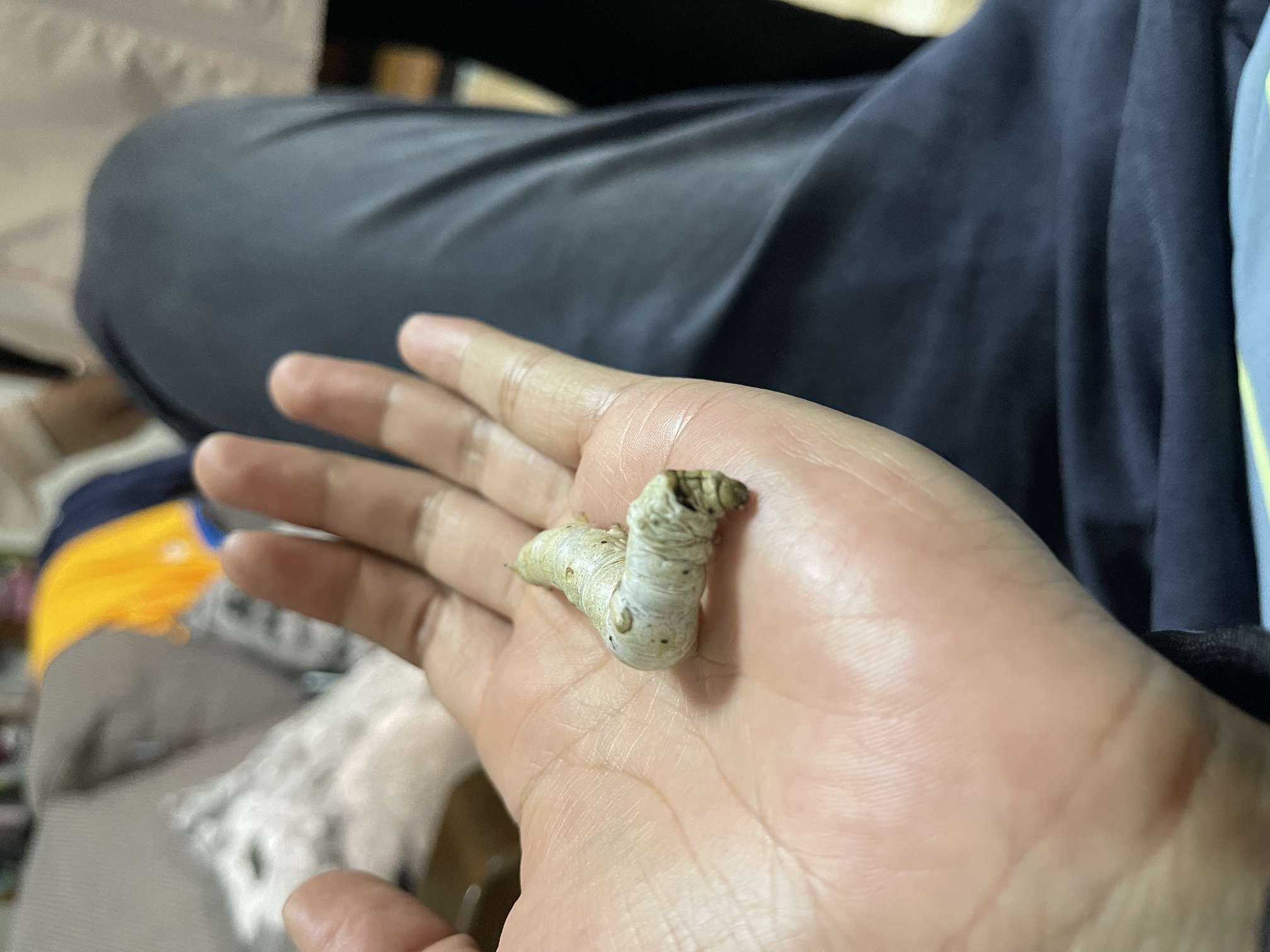 找台球搭子