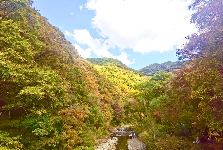 找旅游搭子