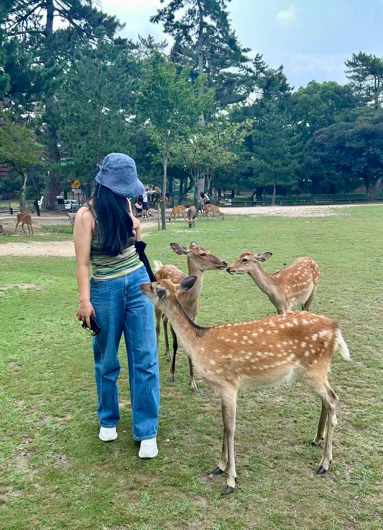 找旅游搭子