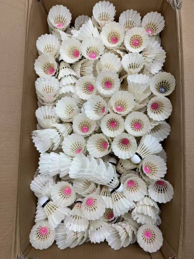 找运动搭子