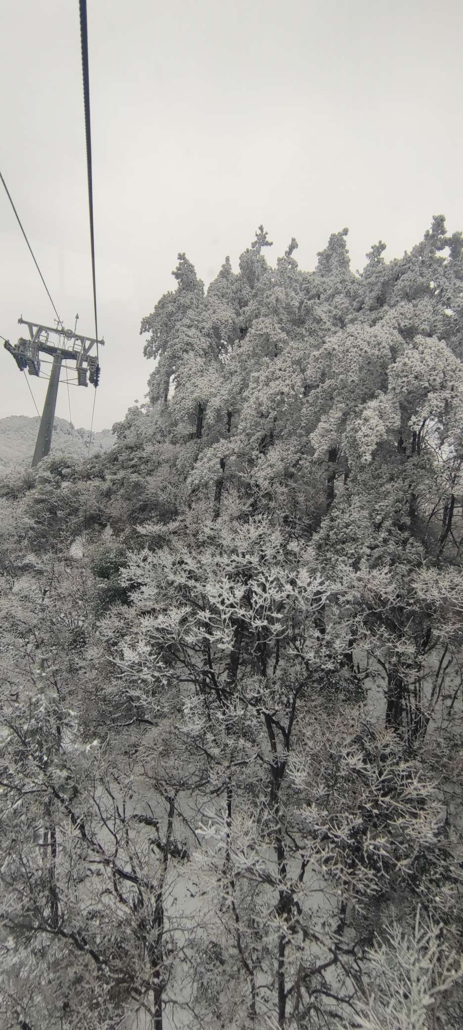 找旅游搭子