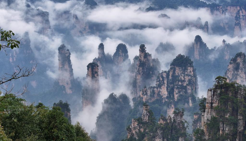找旅行搭子