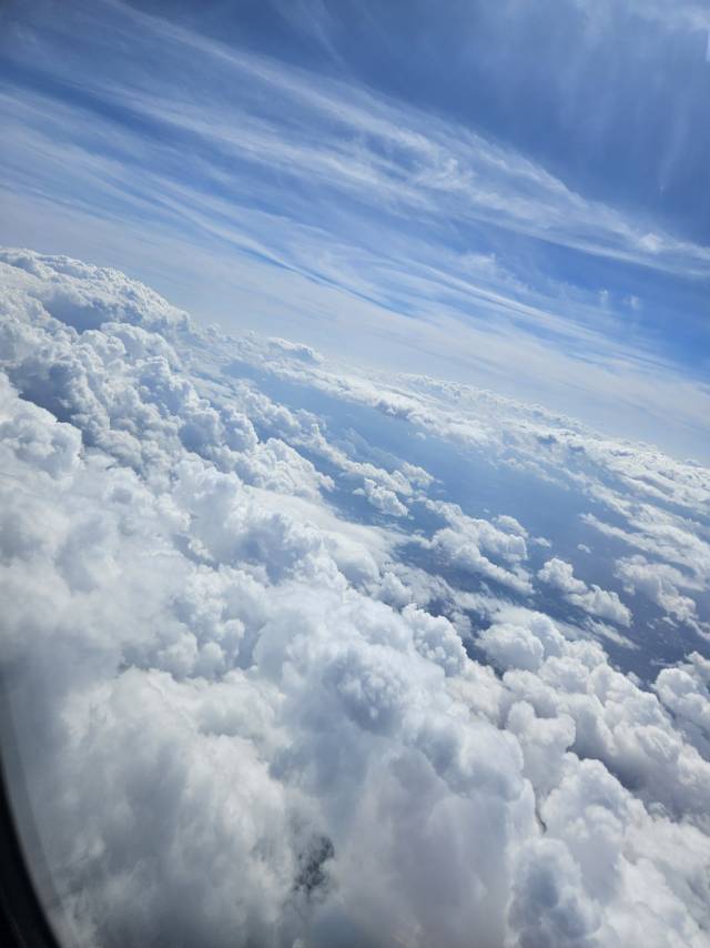 找旅游搭子