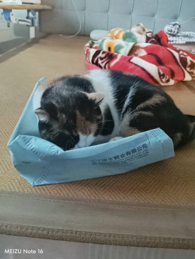 找旅游搭子