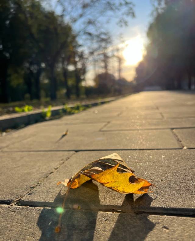 找旅行搭子