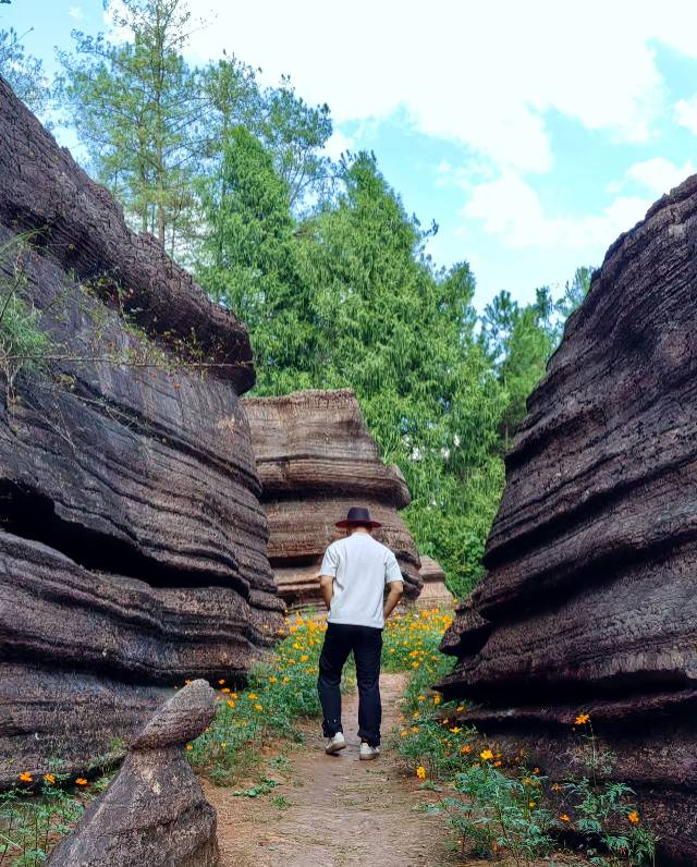 找学习吃饭旅游搭子