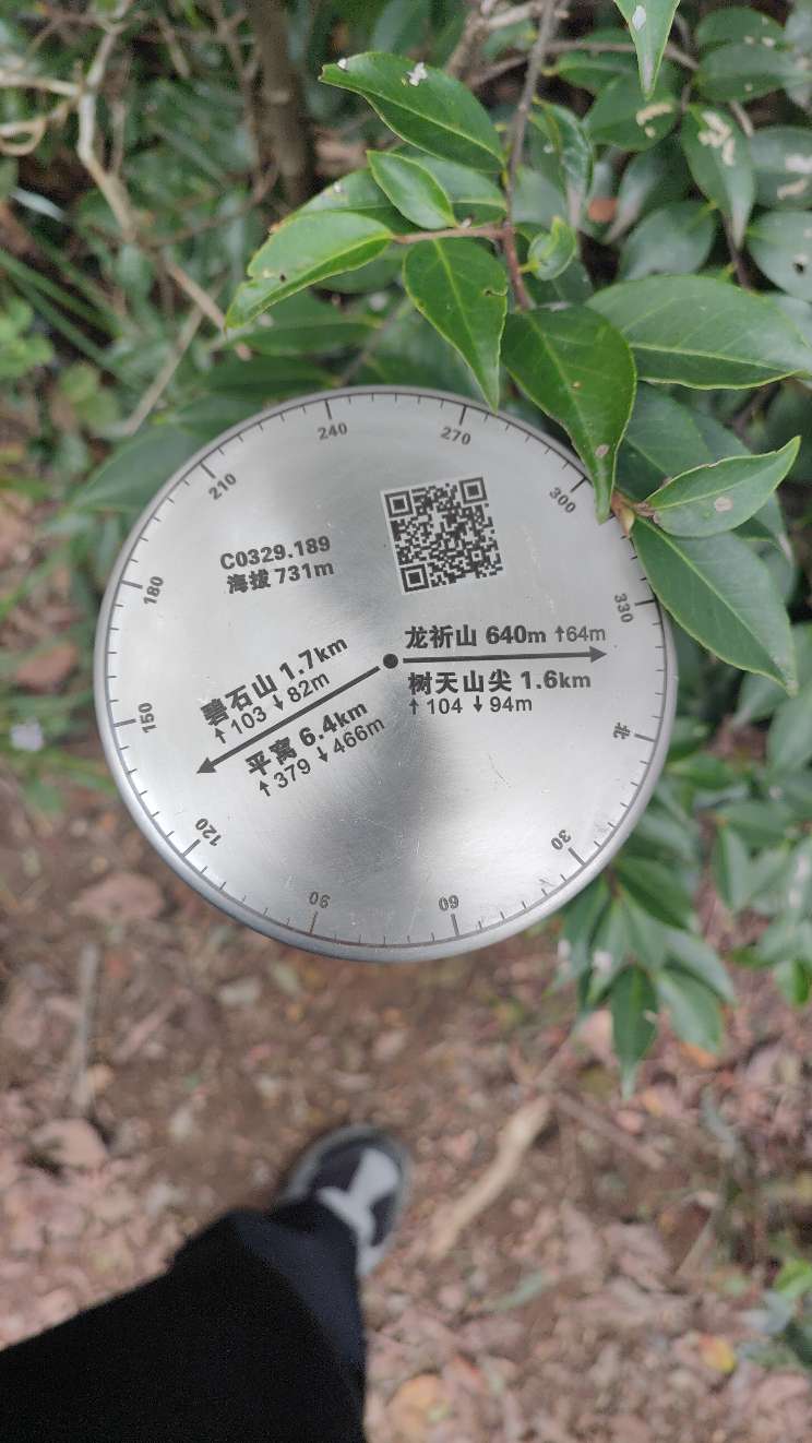 找运动搭子