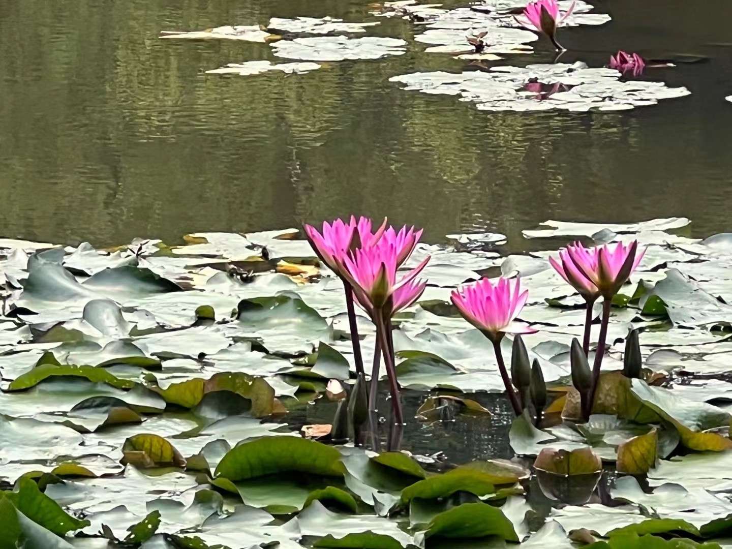 找运动搭子