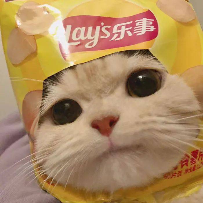 找学霸搭子
