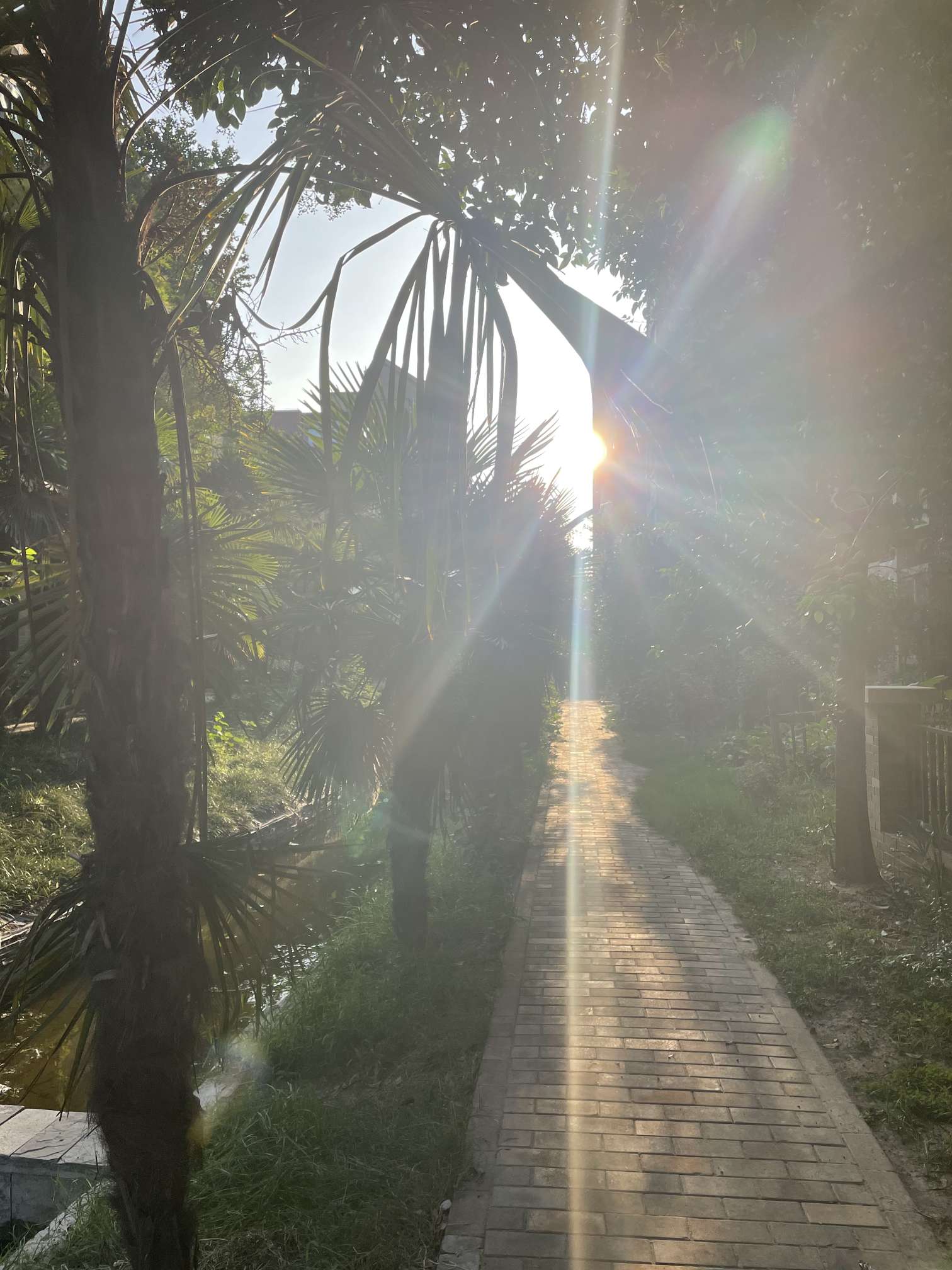 找互相满足搭子