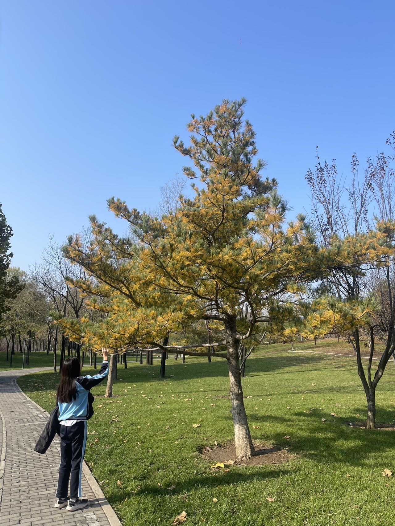 找亲子女娃搭子