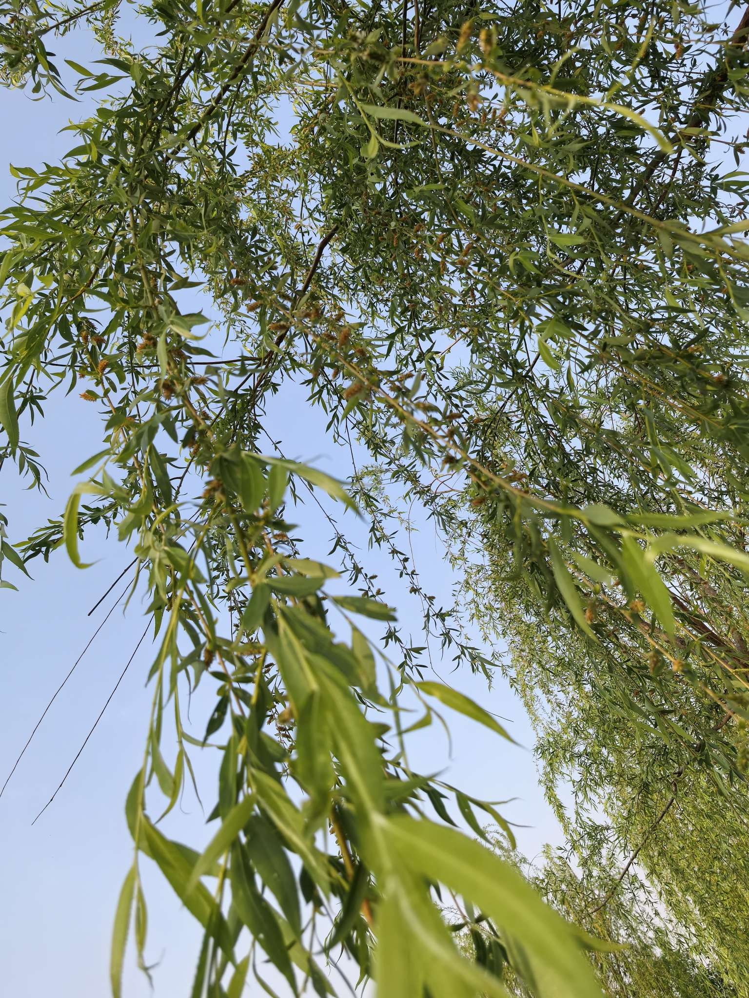 找唱歌打游戏旅搭子