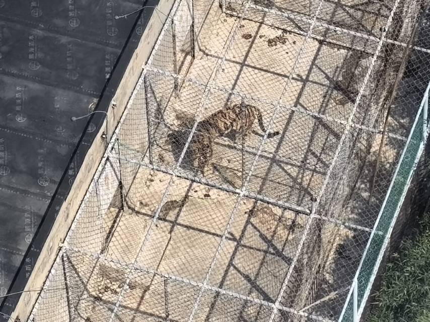 找台球搭子