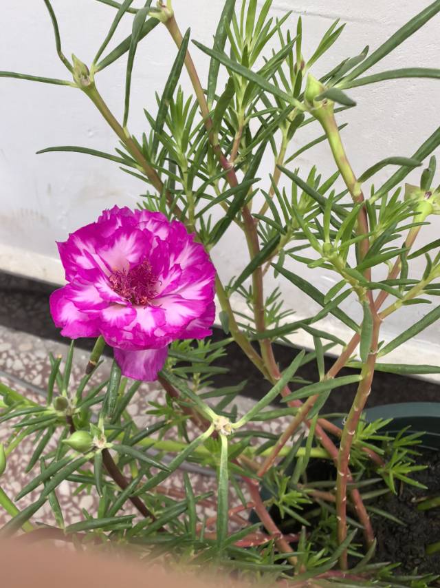 找户外桌游搭子