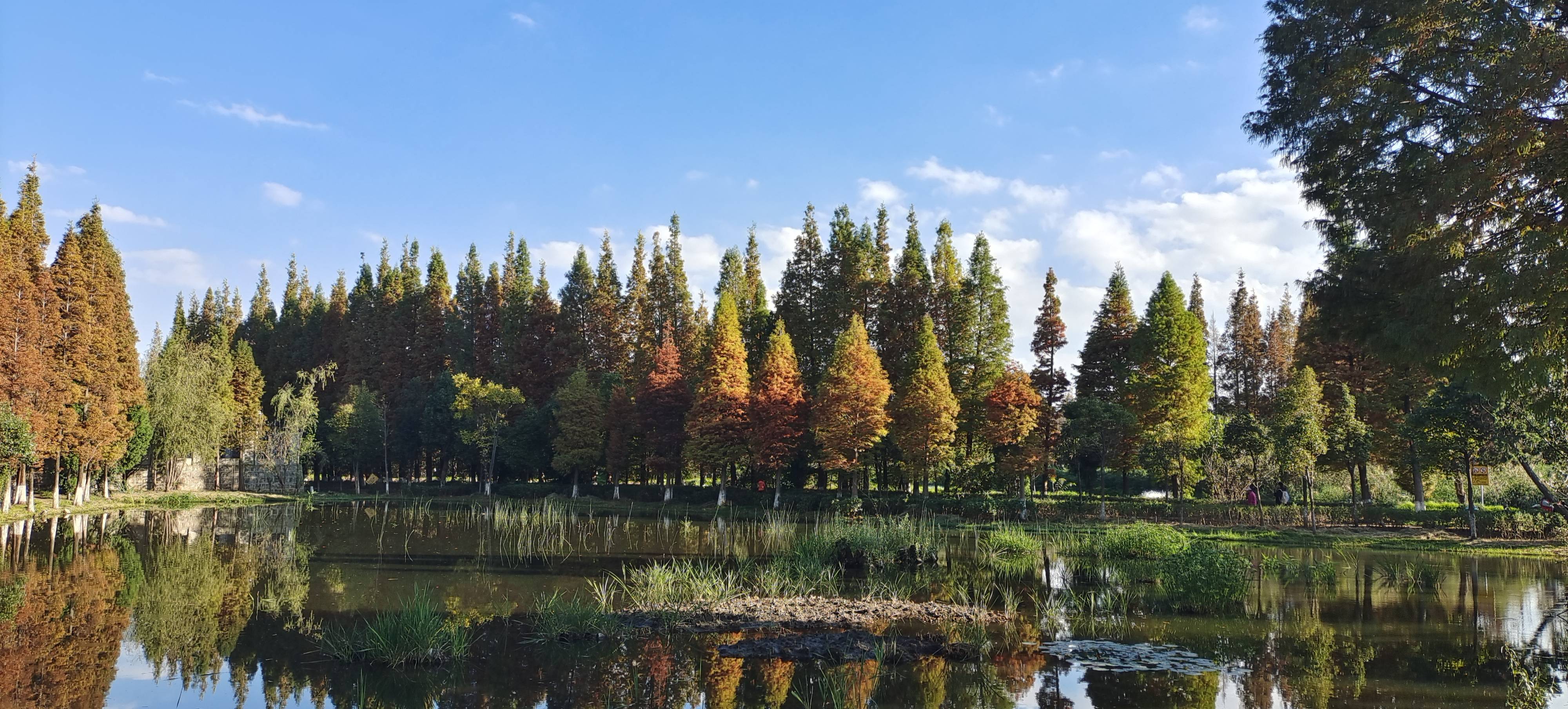 找吃饭喝茶搭子