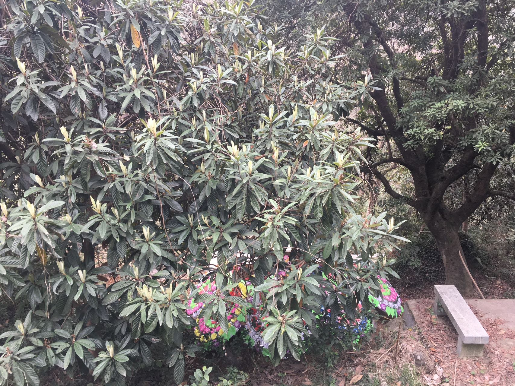 找陪伴生活搭子