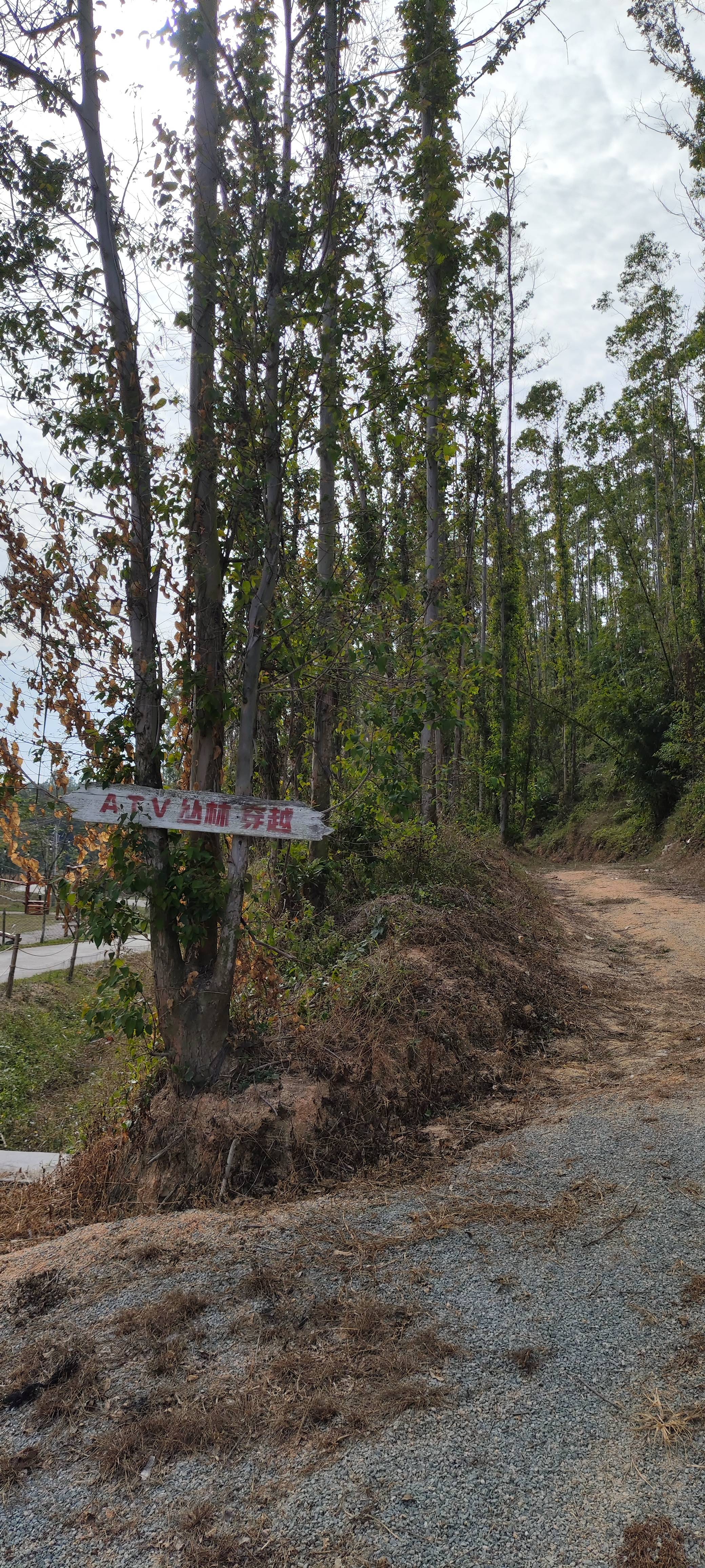 找运动休闲搭子