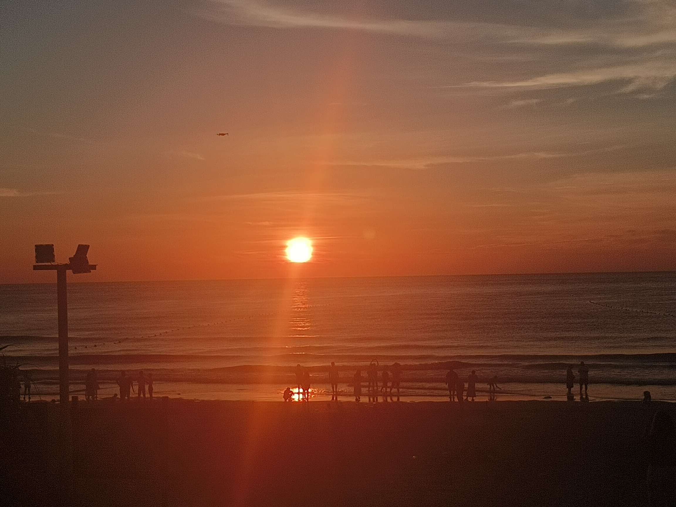 找干什么都可以搭子