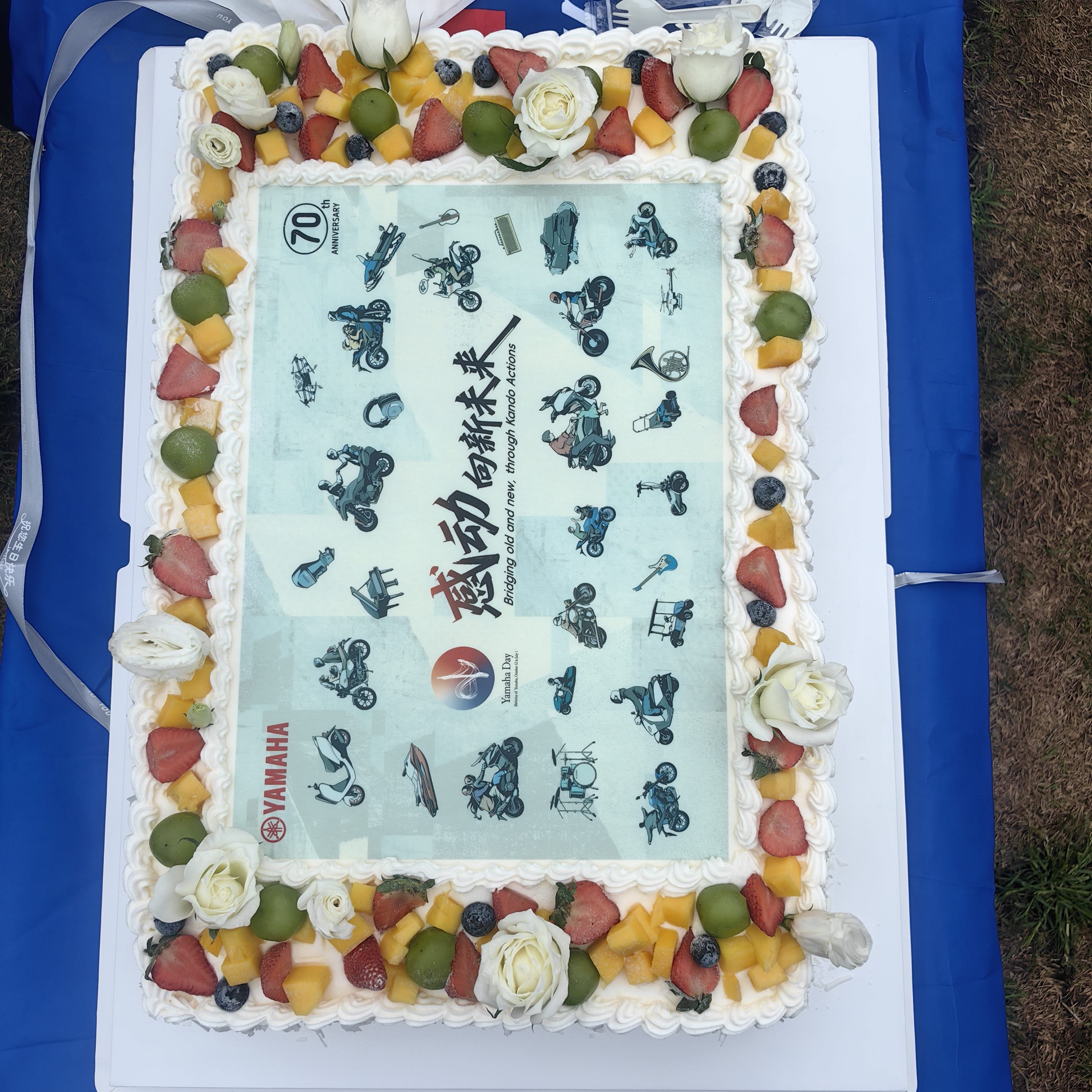 找志同道合搭子