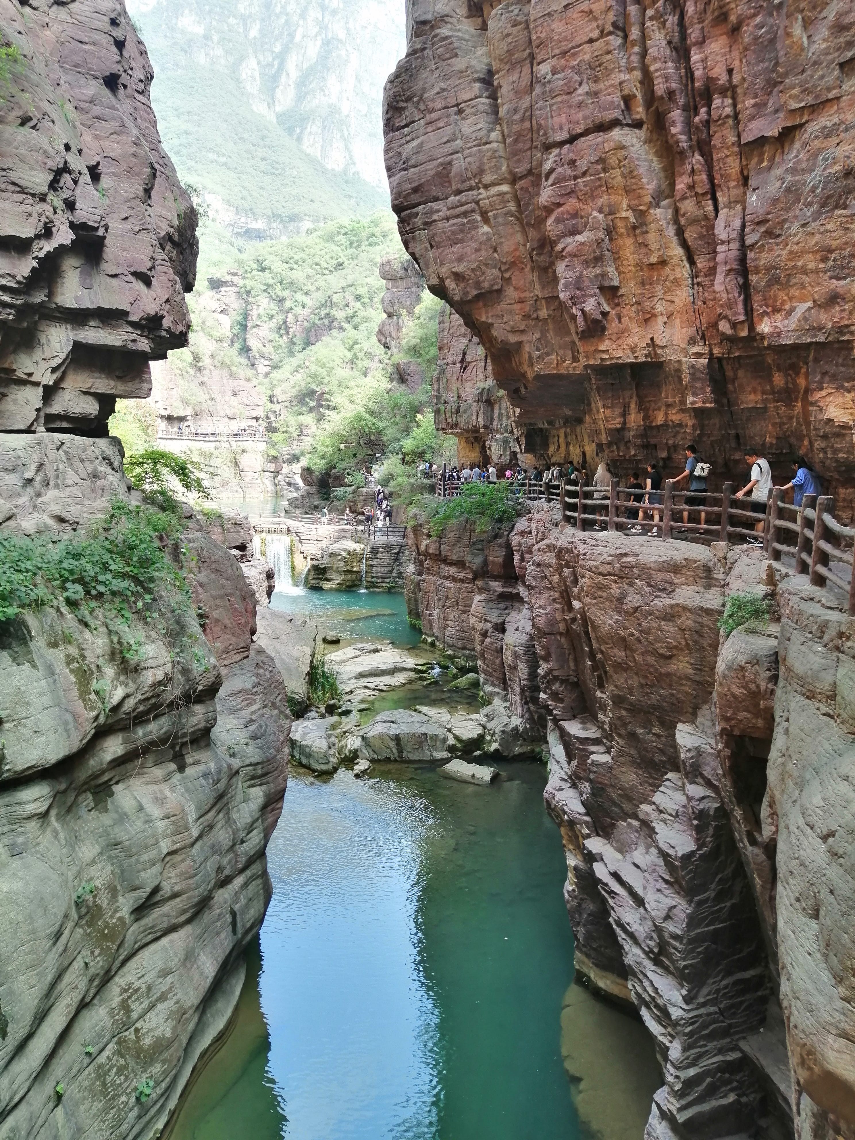 找聊的来的搭子