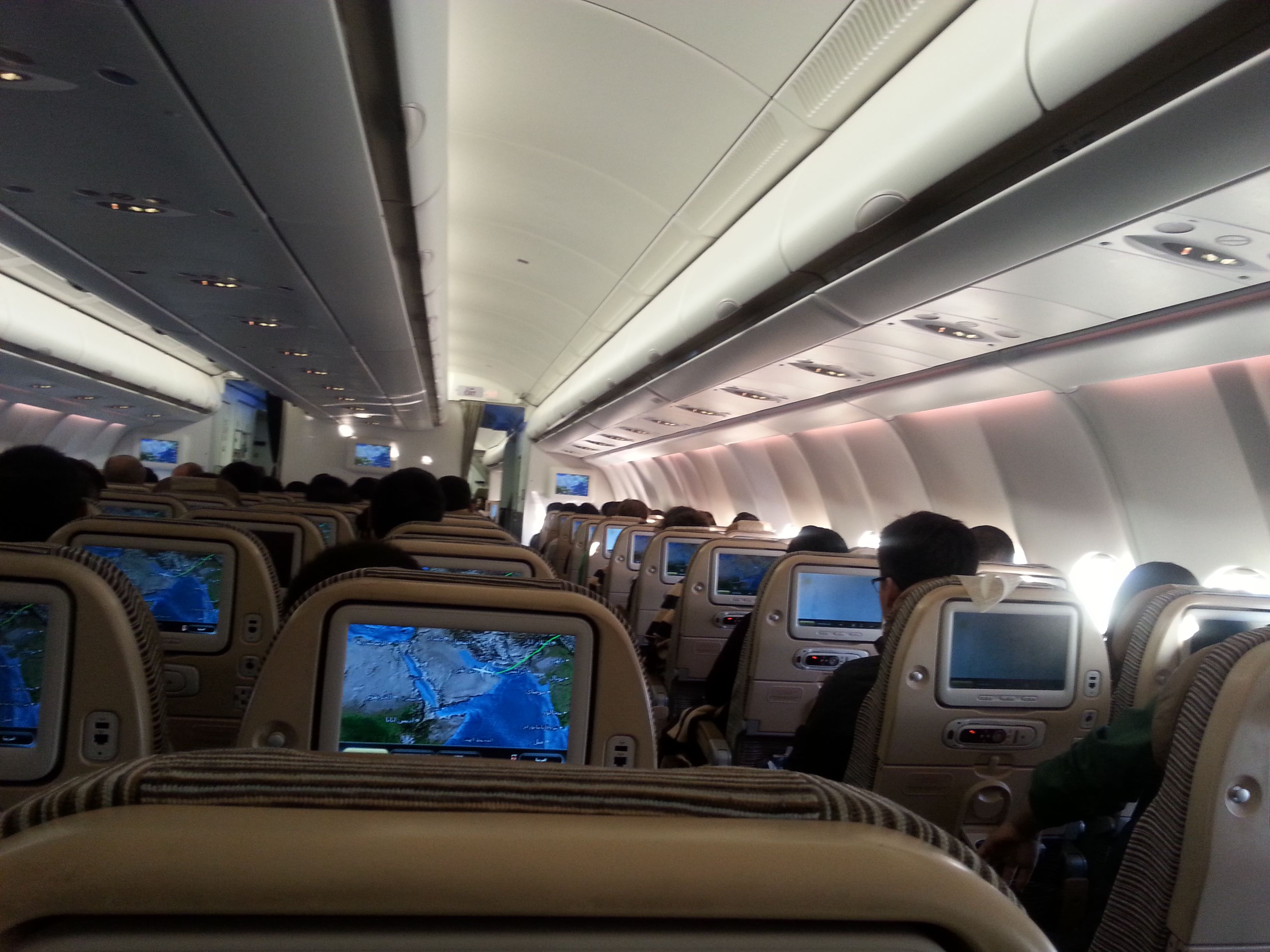 找聊的来的搭子