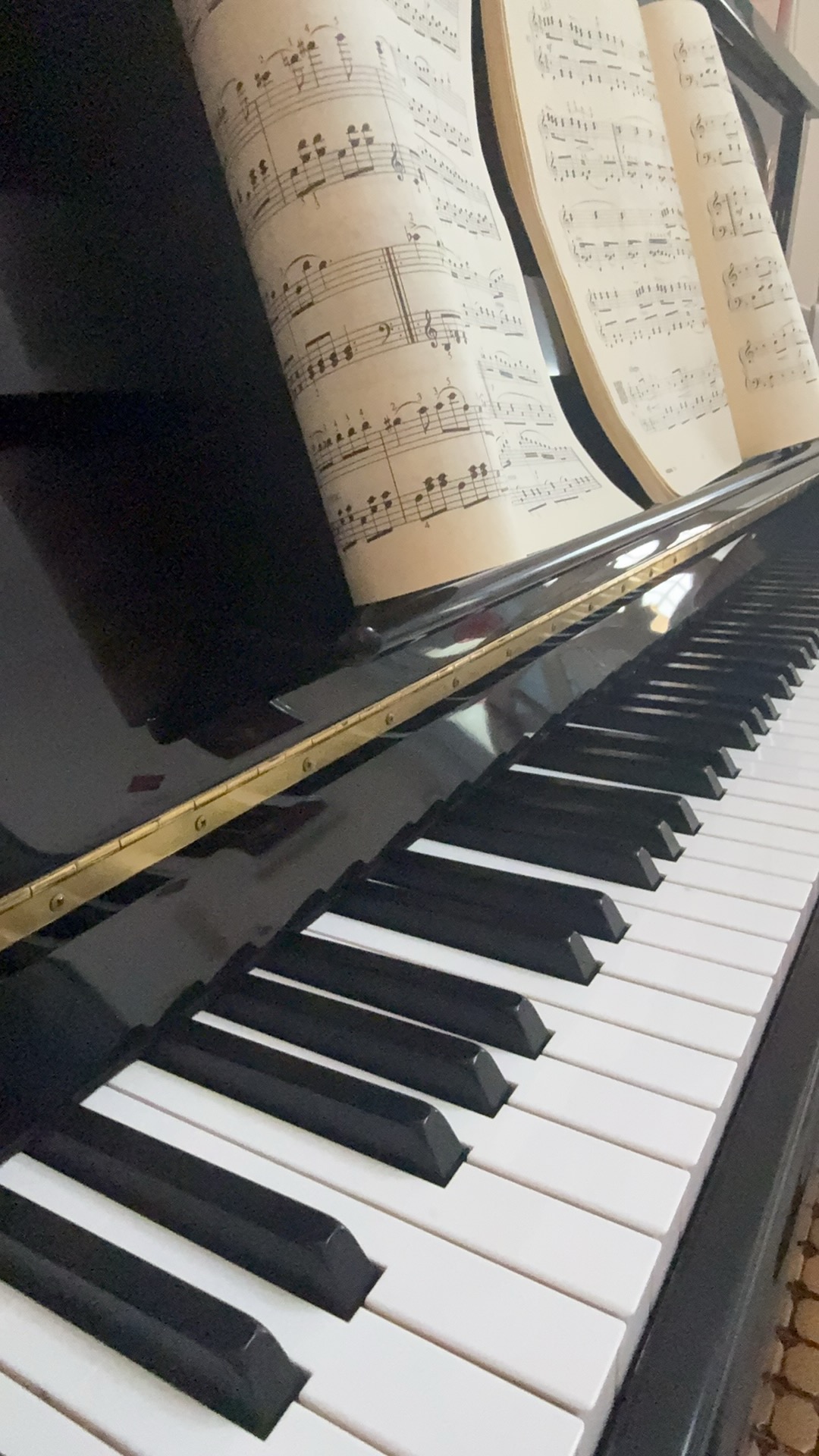 找学美声学音乐搭子