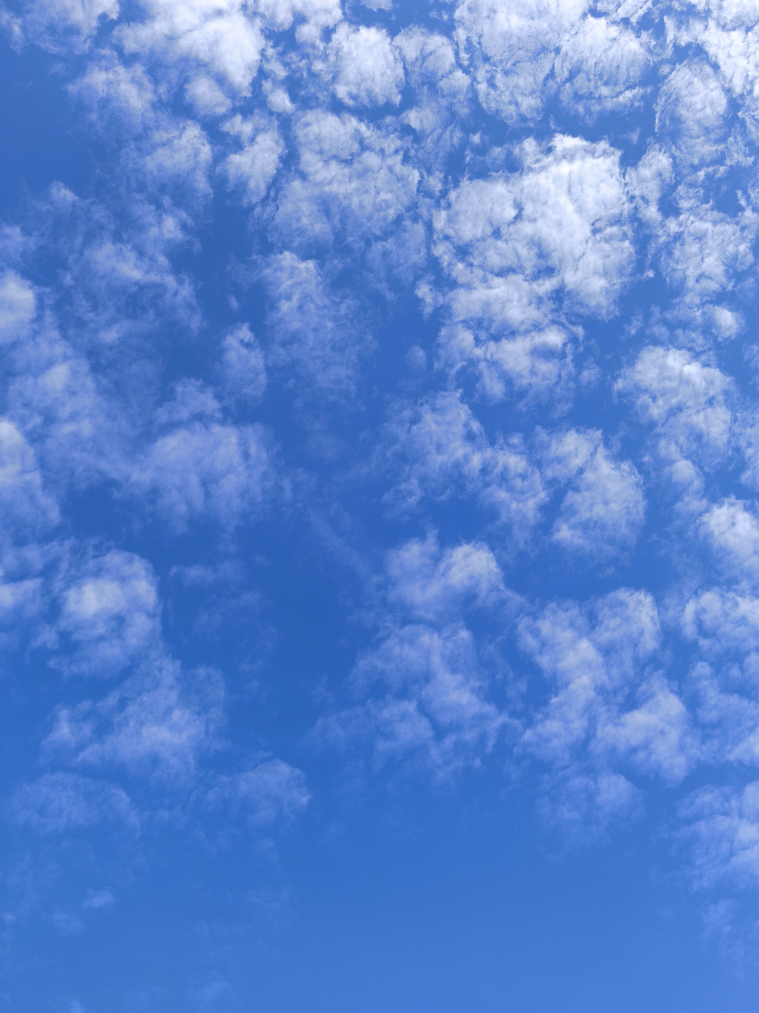 找结婚对象搭子