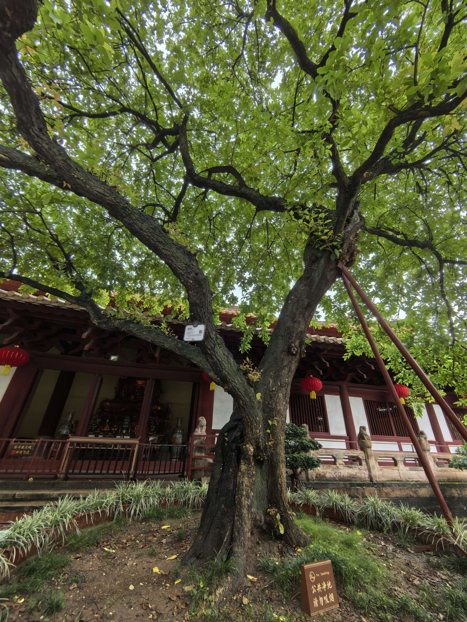 找聊得来的搭子