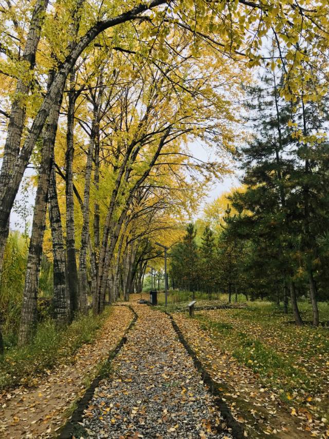 找去腾冲旅游搭子