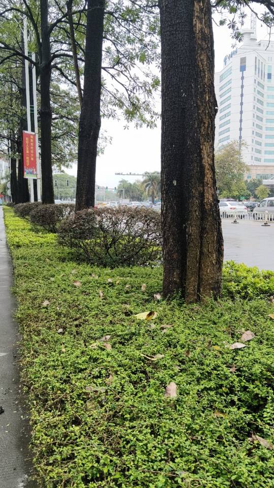 找热爱生活搭子