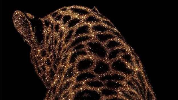 找旅游运动搭子