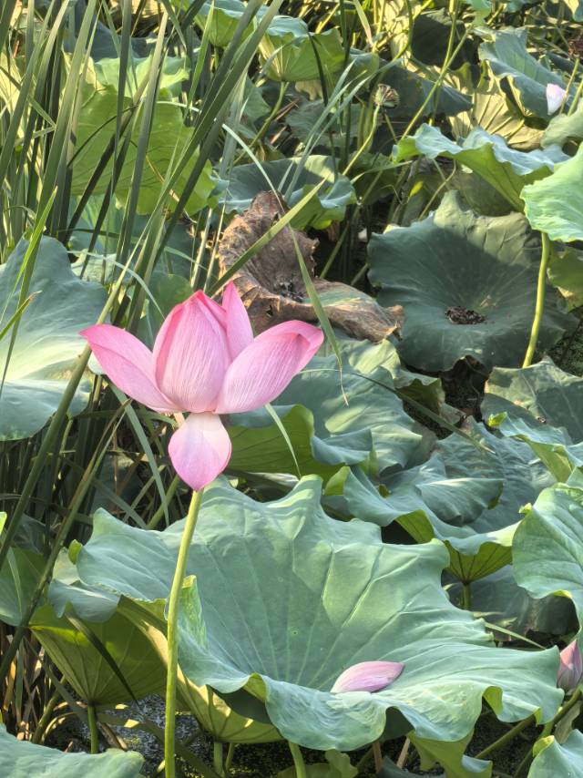 找旅游搭子