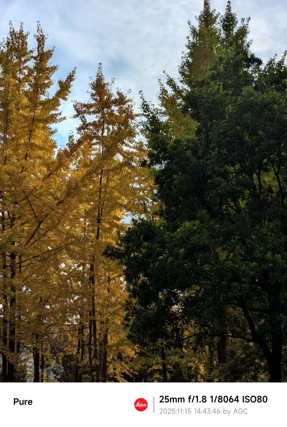 找性格好的搭子