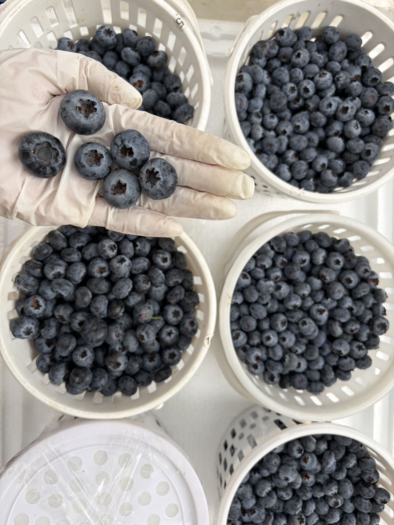 找分享美食搭子