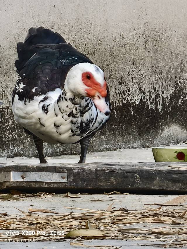找台球搭子