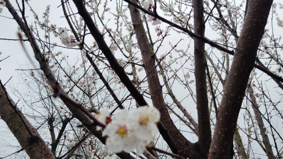 找吃喝玩乐搭子