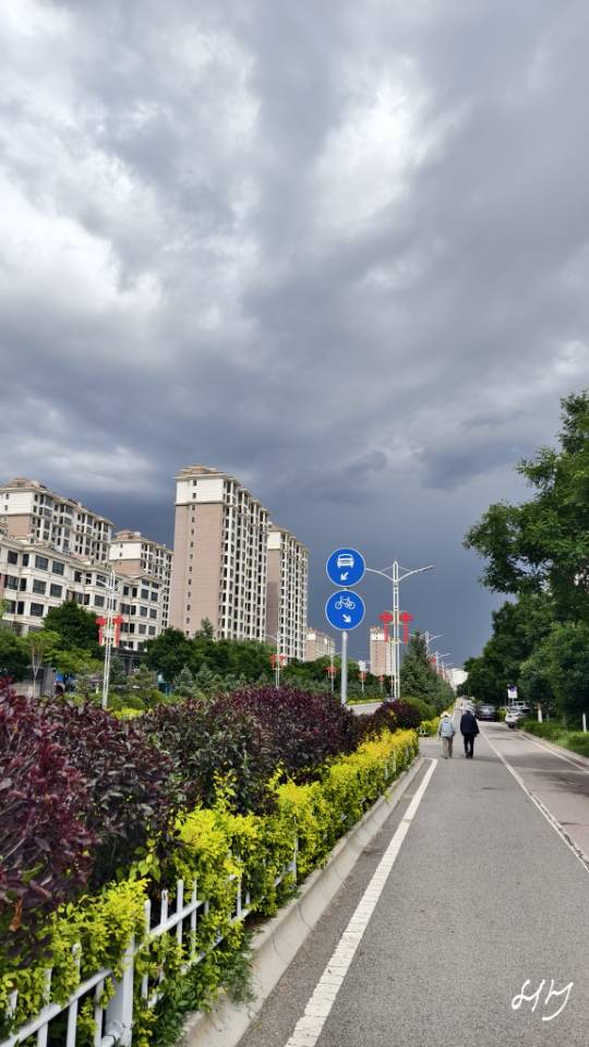 找学习搭子