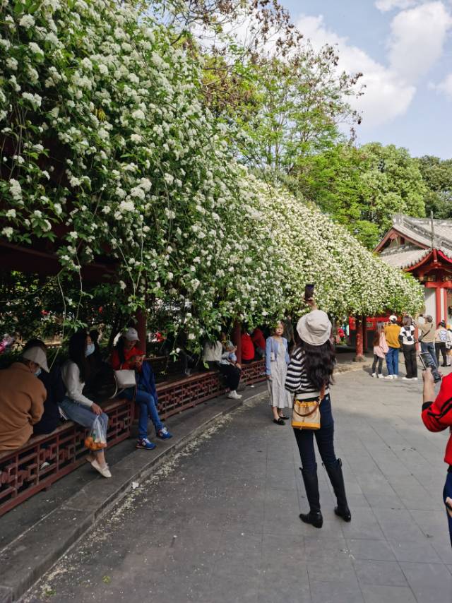 找聊天交友搭子