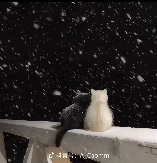 找聊的来的搭子