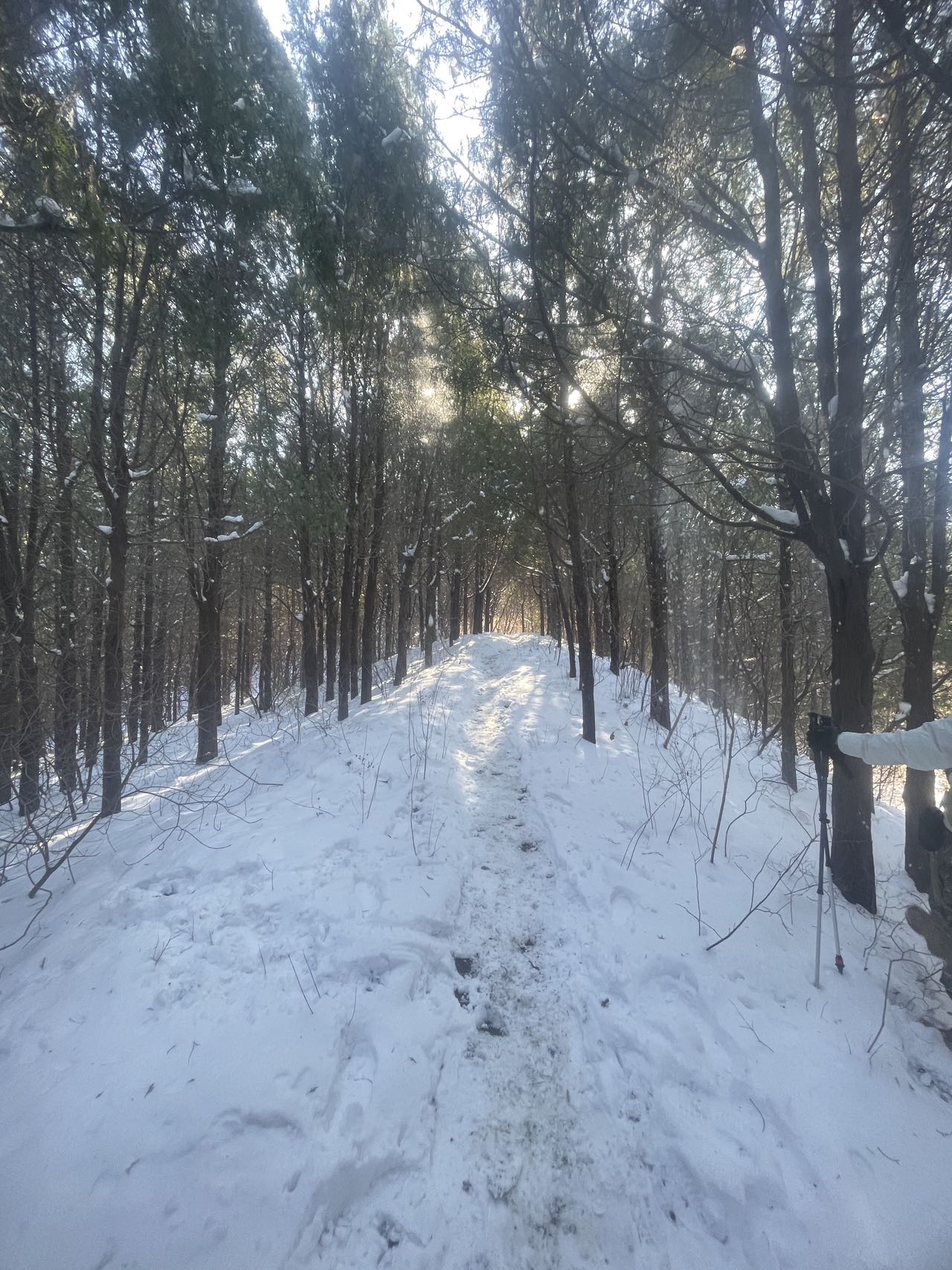 找爬山户外搭子