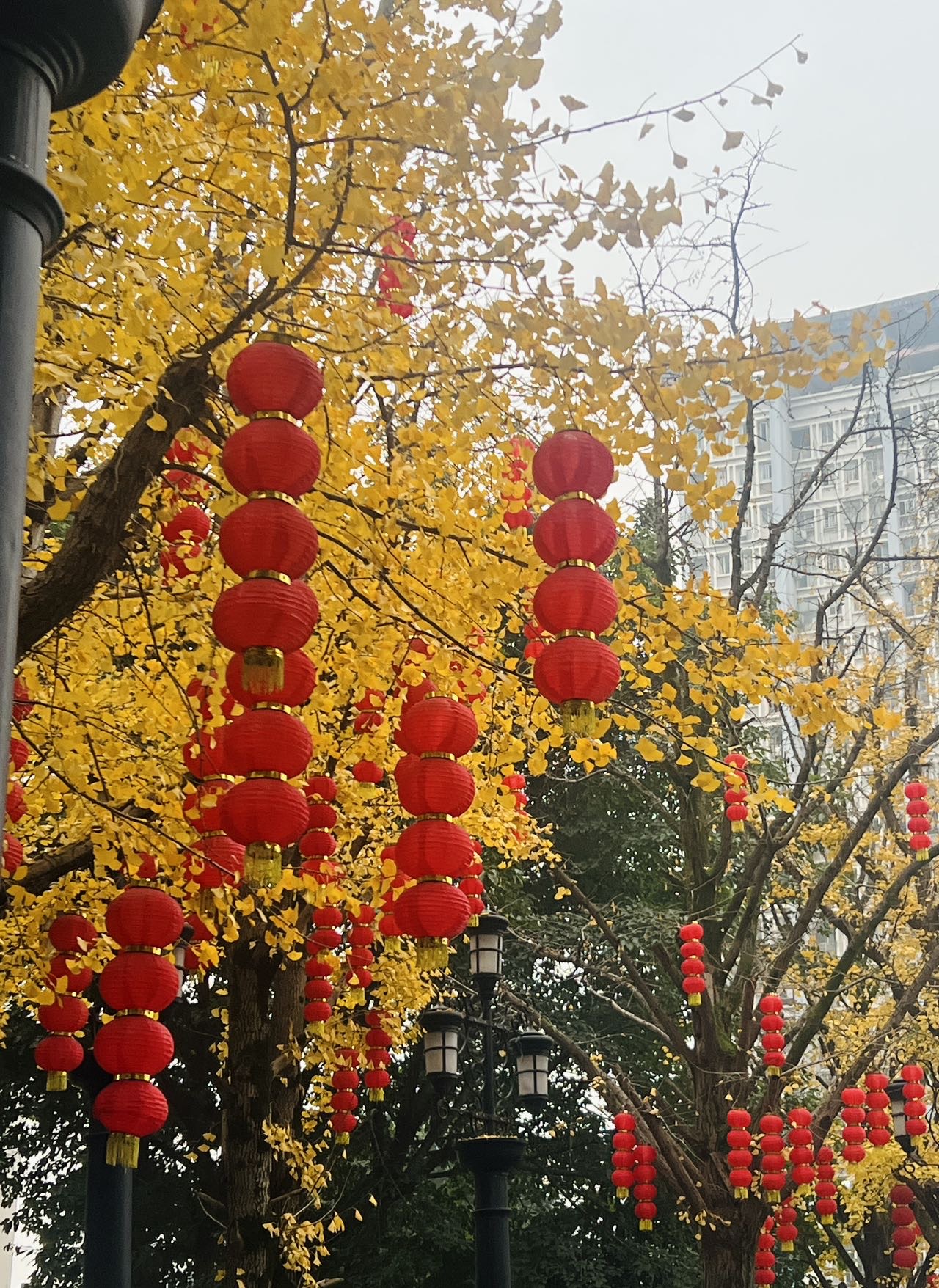 找聊天运动搭子