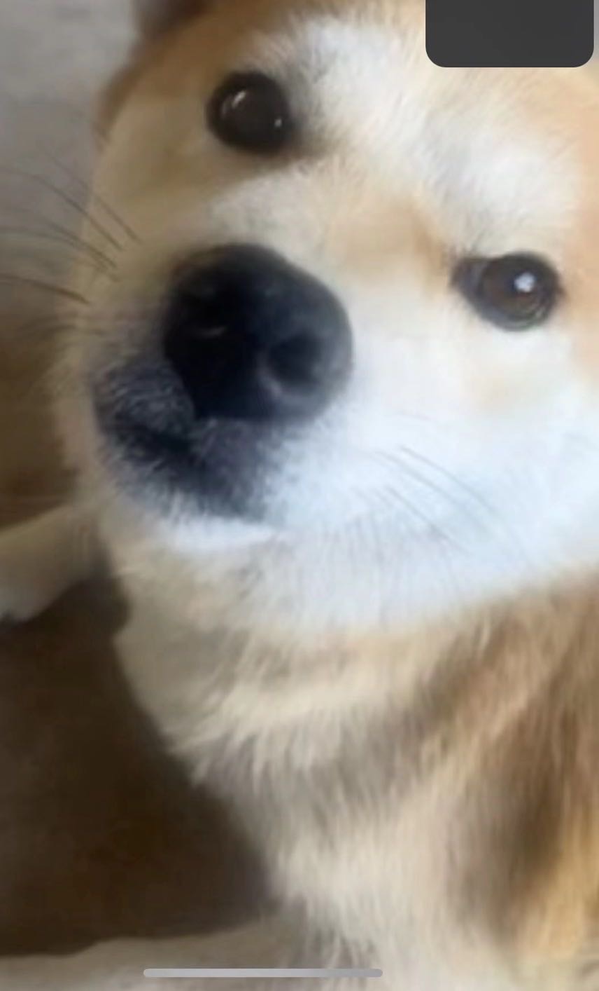 找聊天搭子